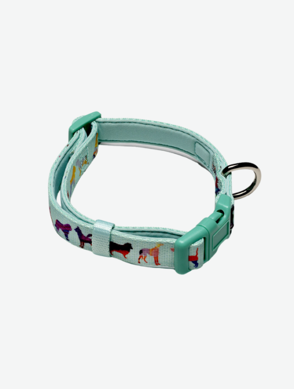 Dog Collar - blue