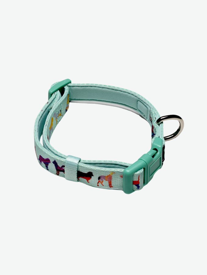 Dog Collar - Seafoam