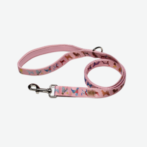 Dog Leash - Pink