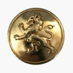 Lion Gold Magnetic Pin