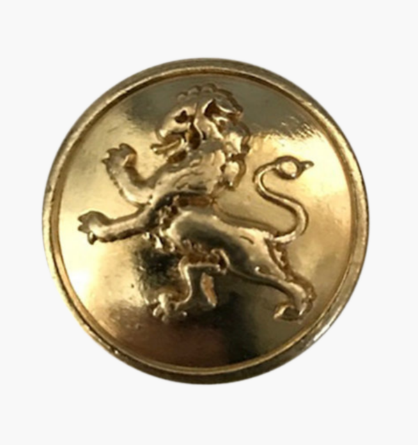 Lion Gold Magnetic Pin