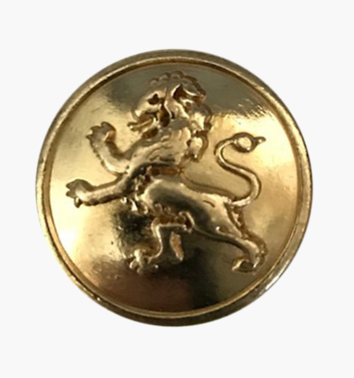 Lion Gold - Magnetic Pin