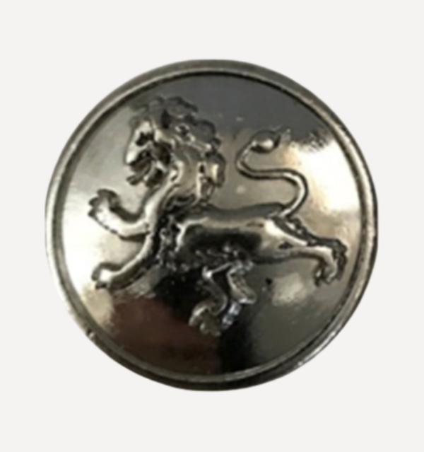 Lion Silver - Magnetic Pin